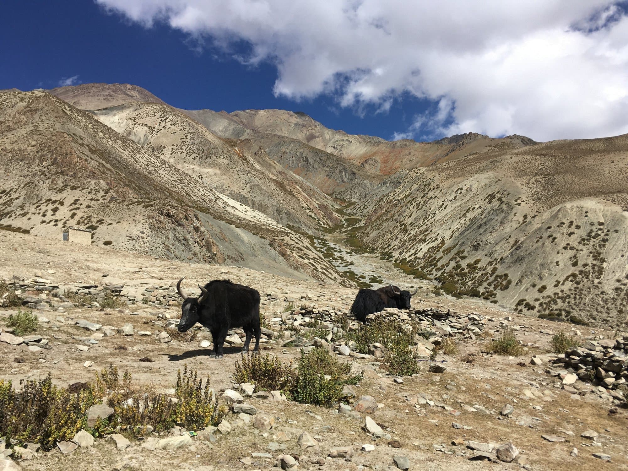 Hemis National Park
