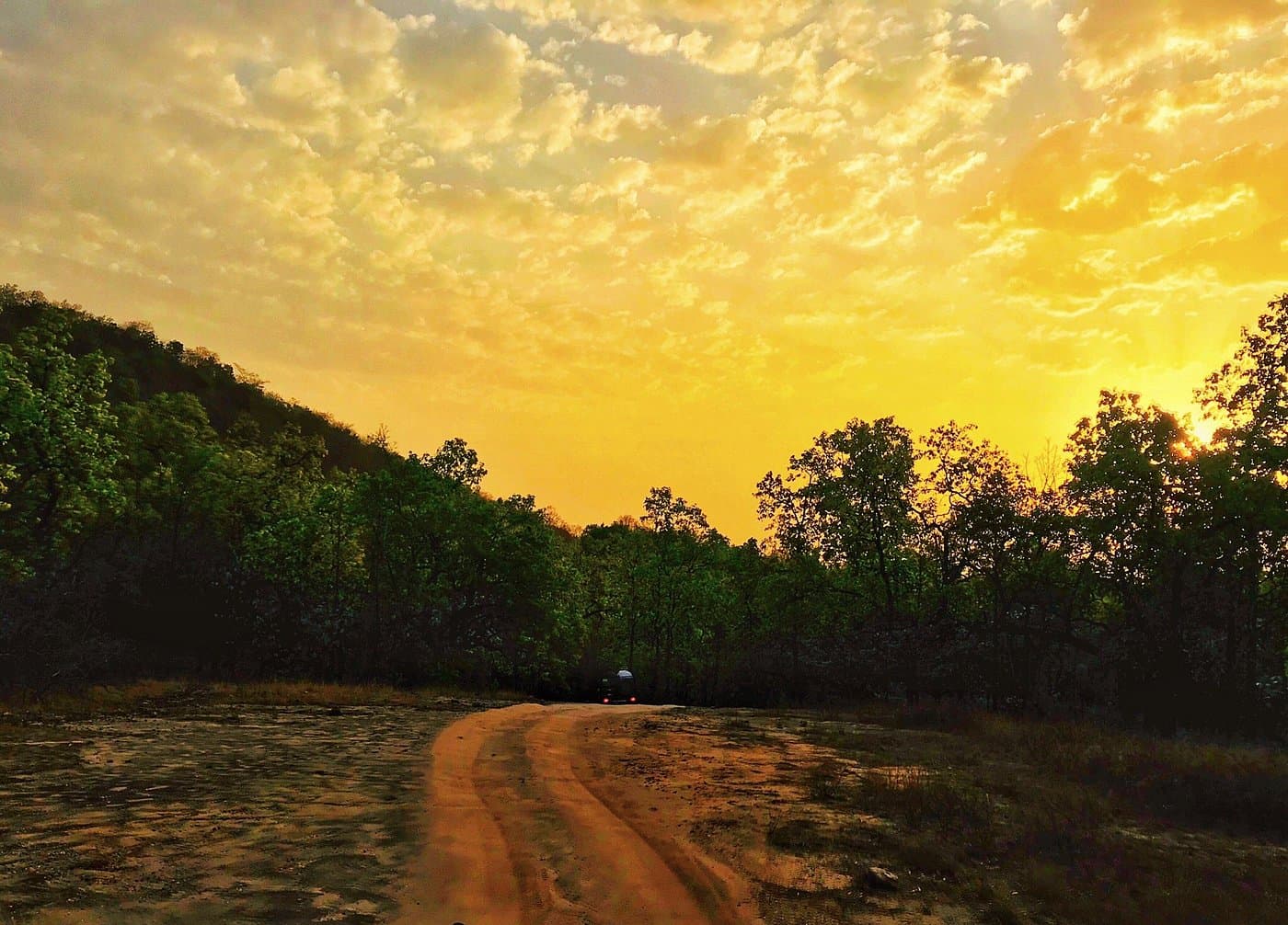 Bandhavgarh National Park