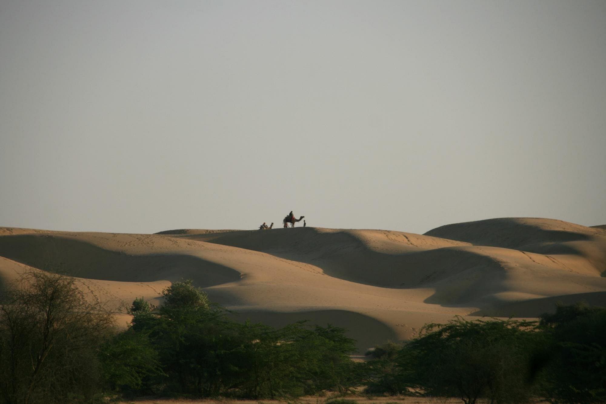 Desert National Park