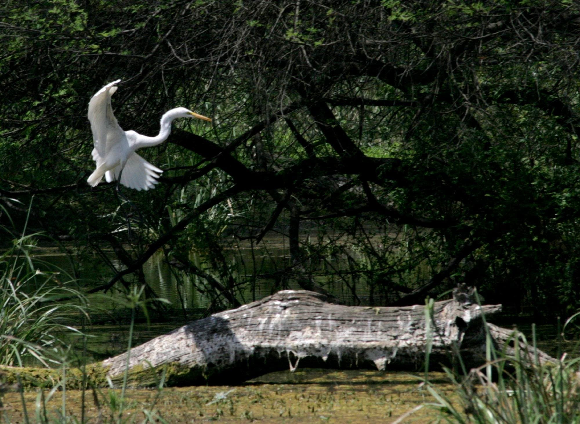 Keoladeo National Park