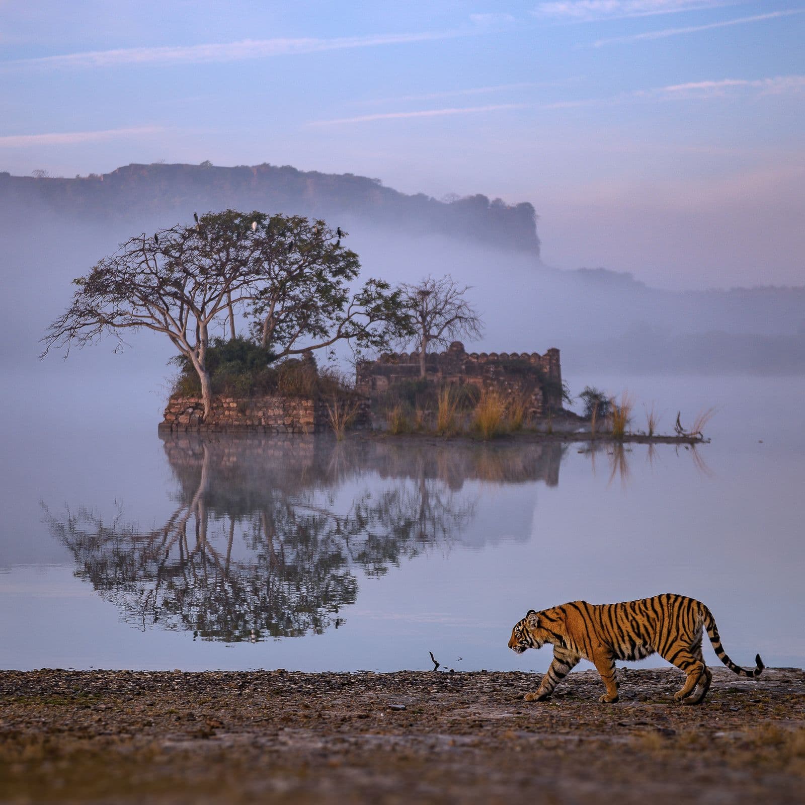 Ranthambore National Park
